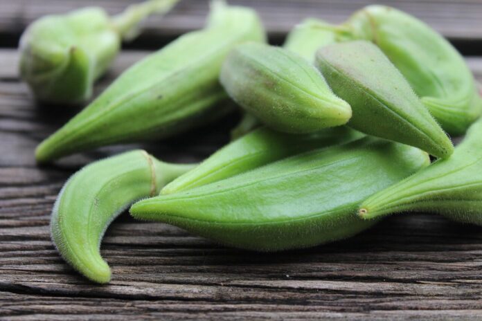 fingers-food-ochro-organic-produce-harvest-ingredient-healthy-nutrition-closeup-okra-okra-okra-okra.jpeg
